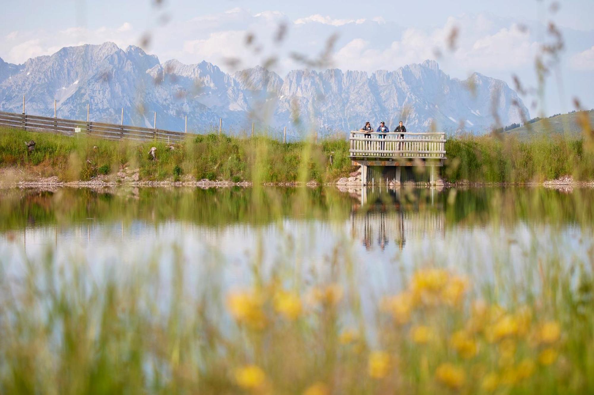 Das Hohe Salve Sportresort, 4 Sterne Superior ฮอพฟ์การ์เทน อิม บริกเซนทัล ภายนอก รูปภาพ